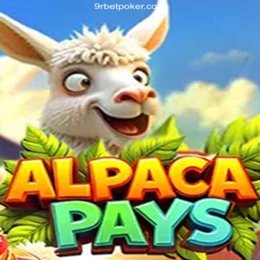 Exploring AlpacaPays: A Unique Gaming Experience at 9Rbet Oficial